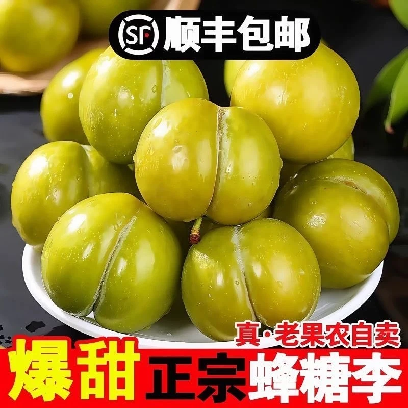 【六马蜂糖李】六马蜂糖李新鲜水果脆甜可口现摘现发包邮