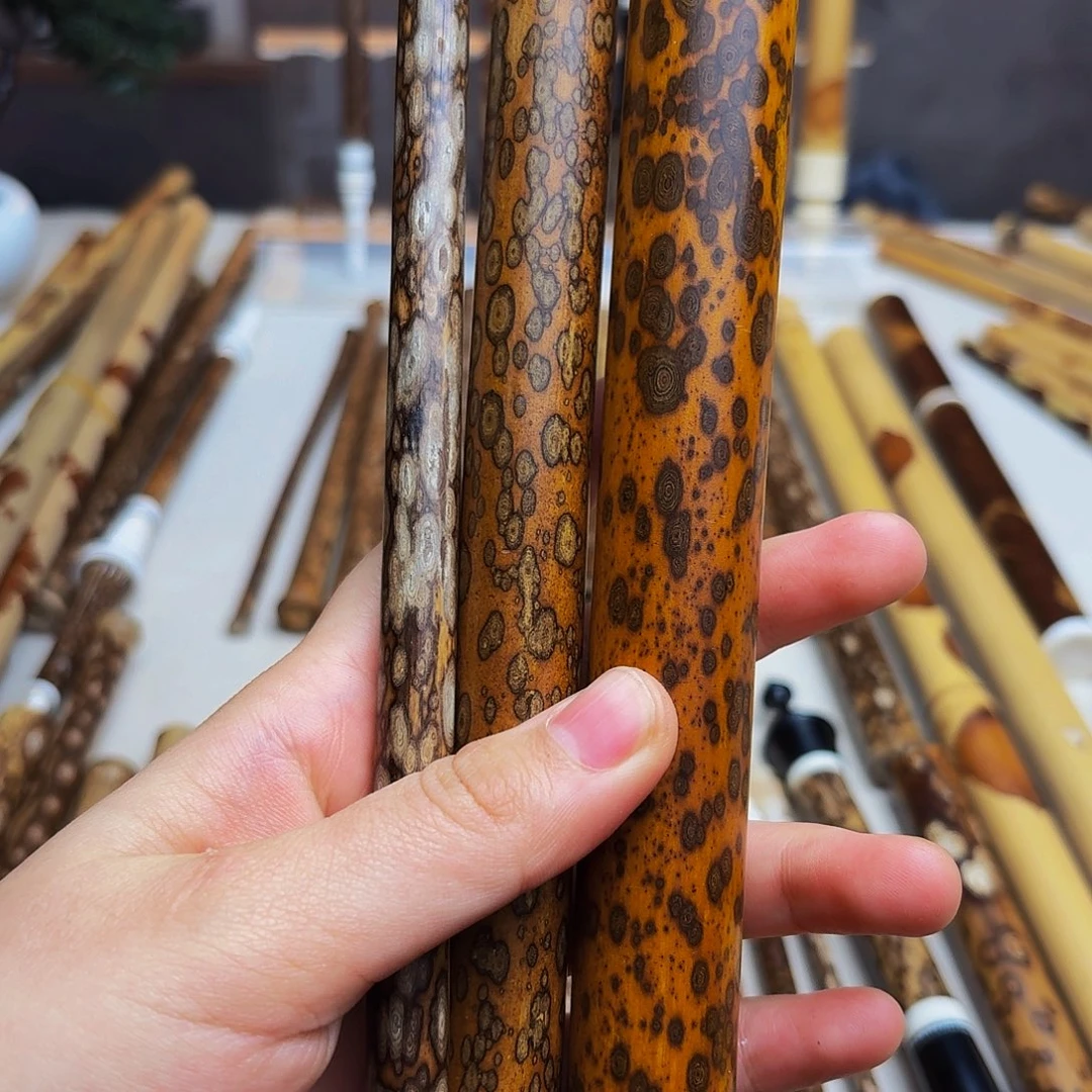 南***寒重中之重这种重中之重