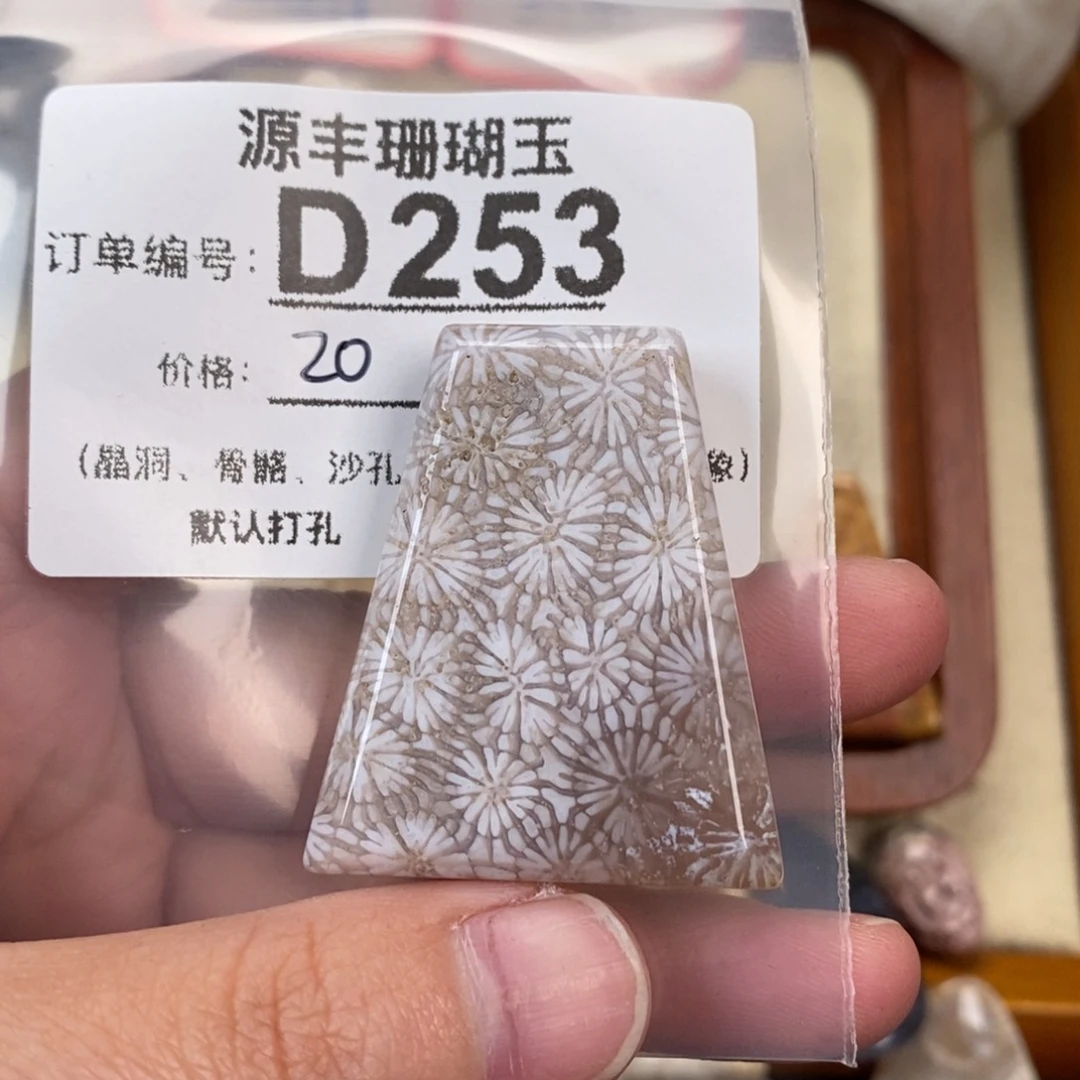 硅化玉颈饰未镶嵌G**a