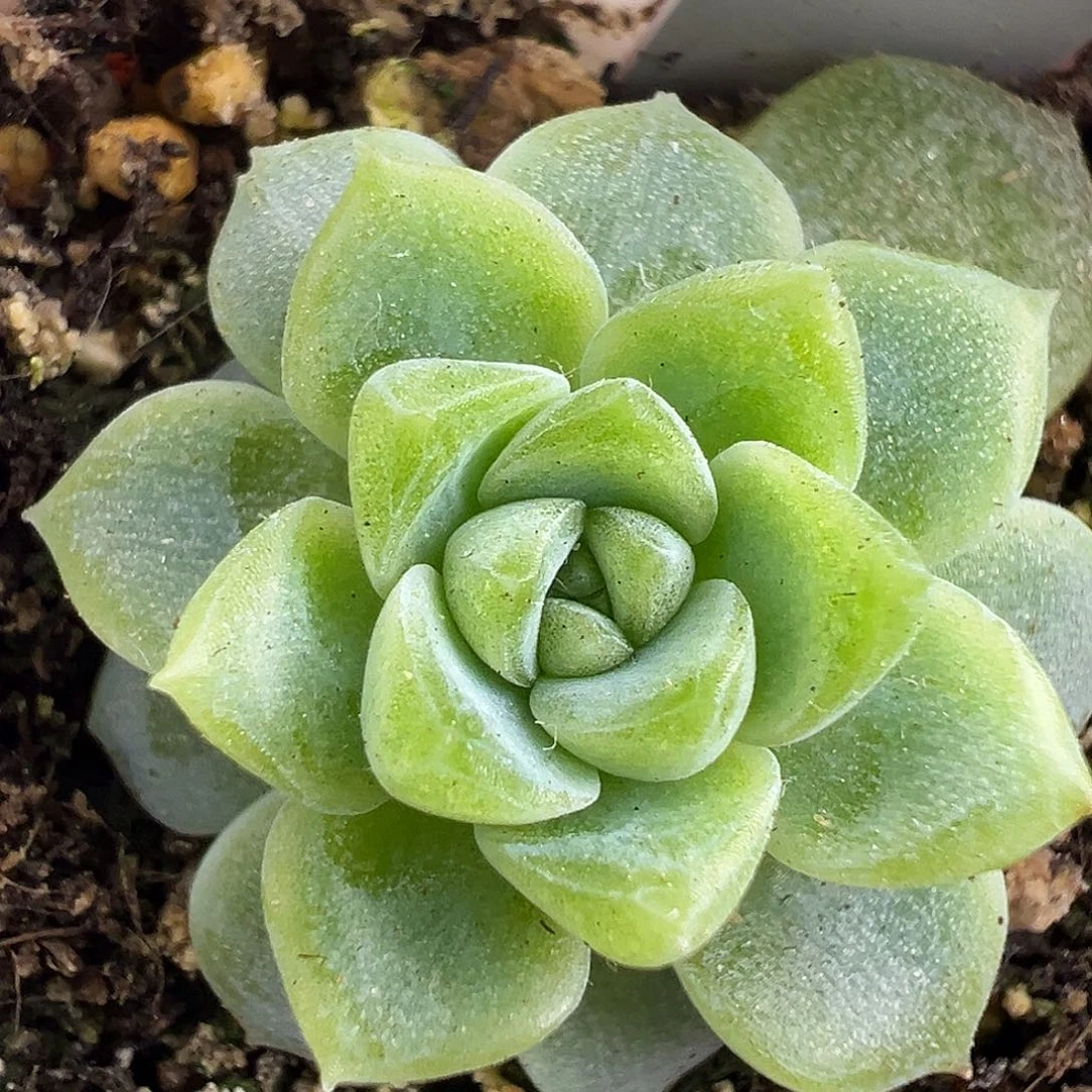 福利。泼天财富密码。