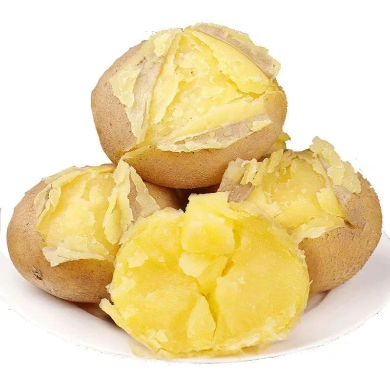 甘肃定西黄皮黄心土豆新鲜现挖沙面细腻洋芋马铃薯