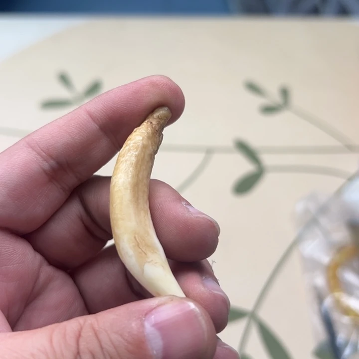 吊坠白玉菩提黄色5158