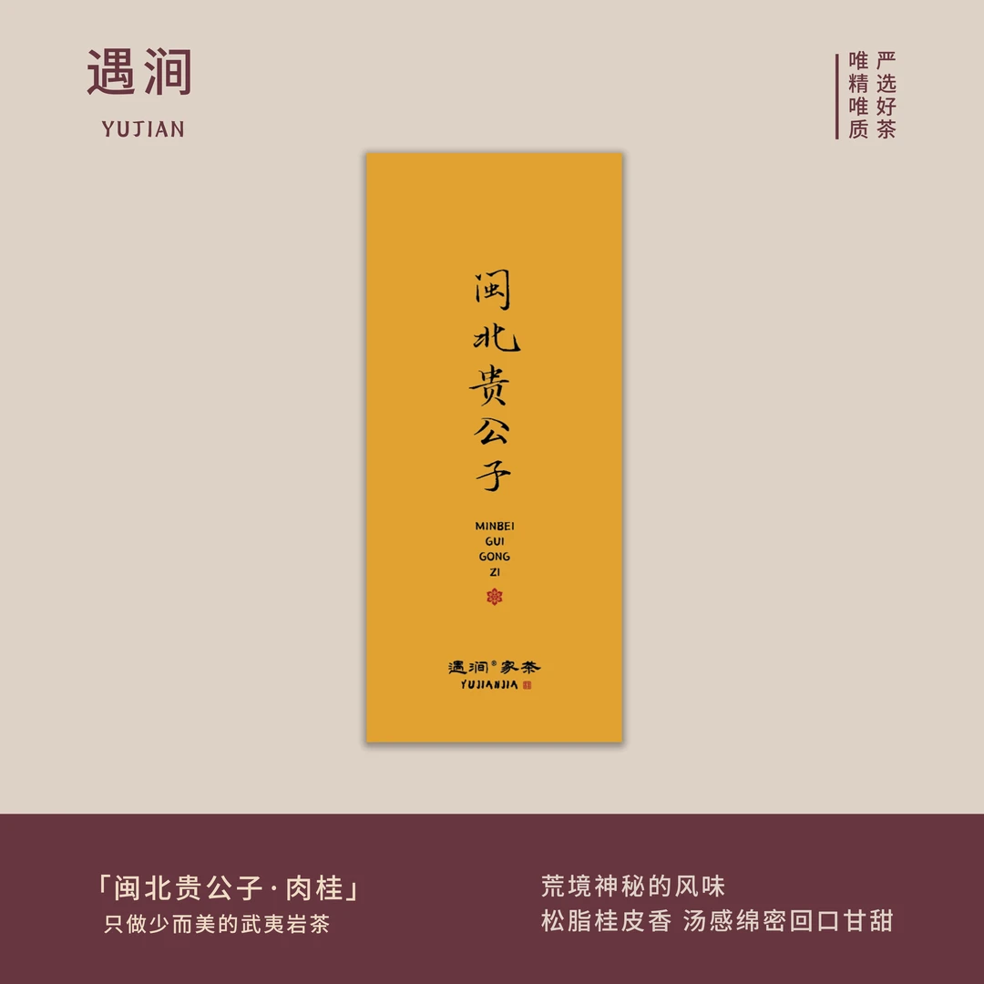 【闽北贵公子】肉桂 馥郁 高级 松油香 武夷山岩茶品鉴装2泡17克