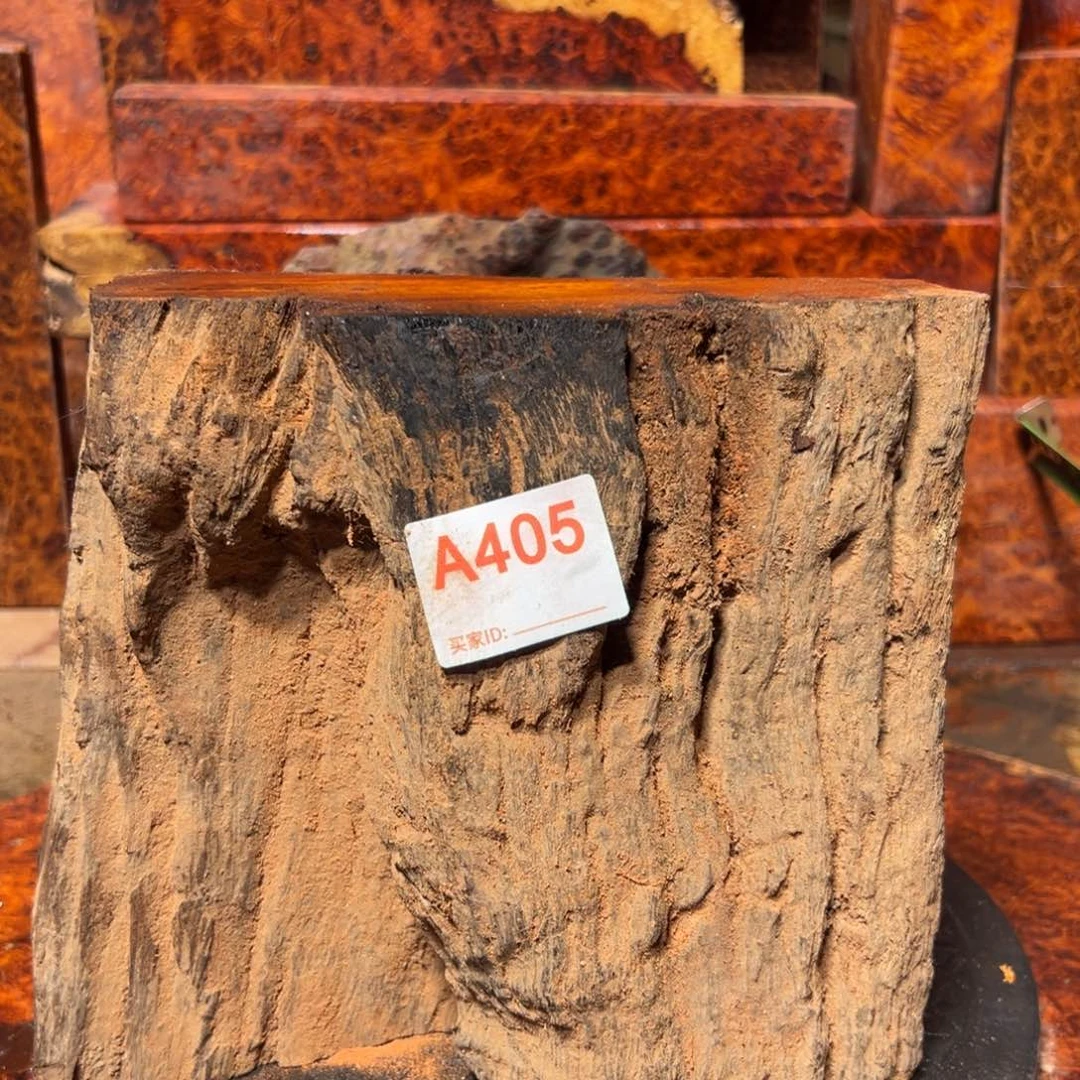 大果紫檀（缅甸花梨）