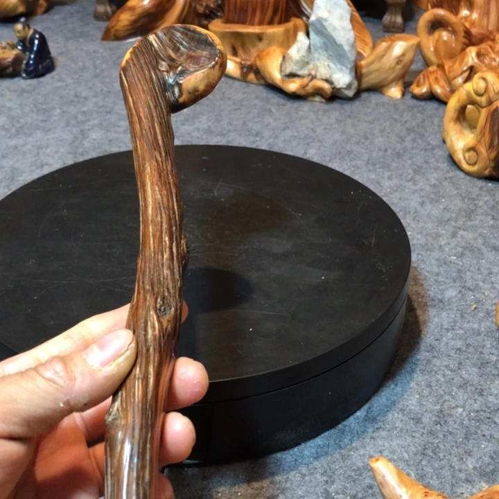 柏木（崖柏）大*子崖柏12