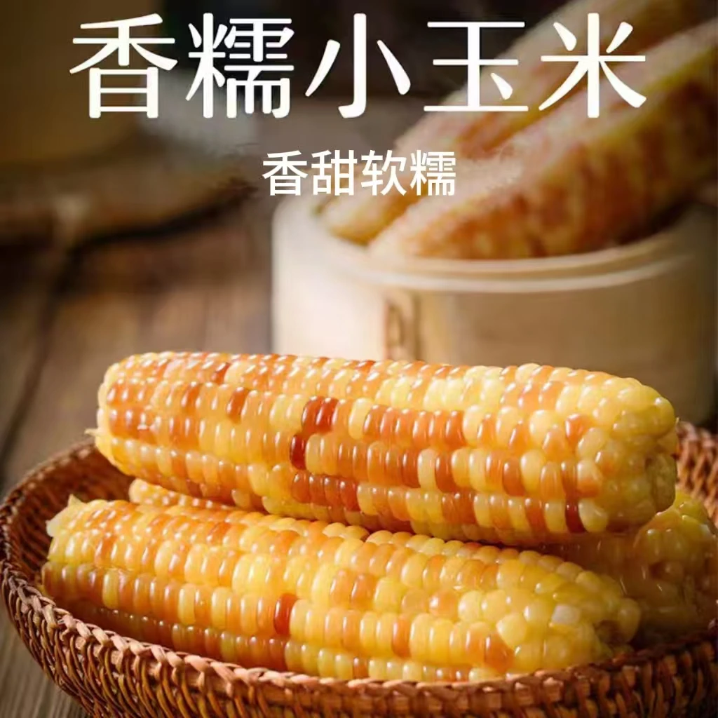 【王品】云南西双版纳香糯小玉米2斤普装/4斤礼盒装（单果140-190g）