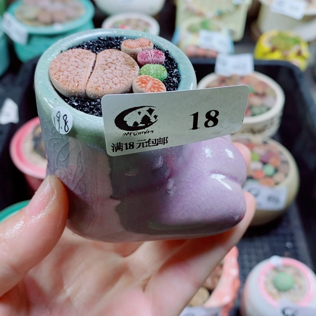 其实哈哈哈哈哈哈哈哈18