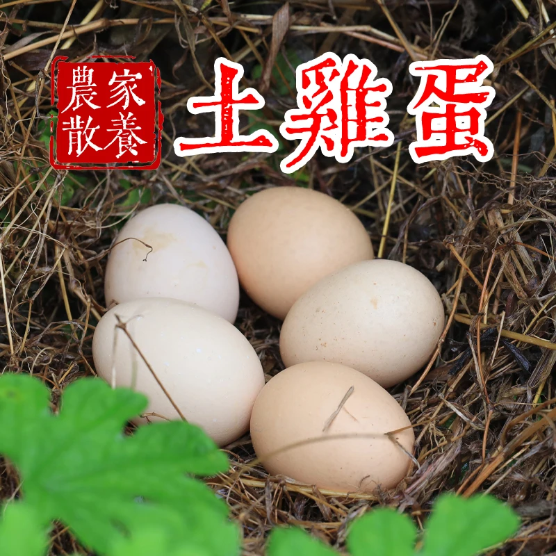 村姑阿香散养土鸡蛋本地鸡蛋