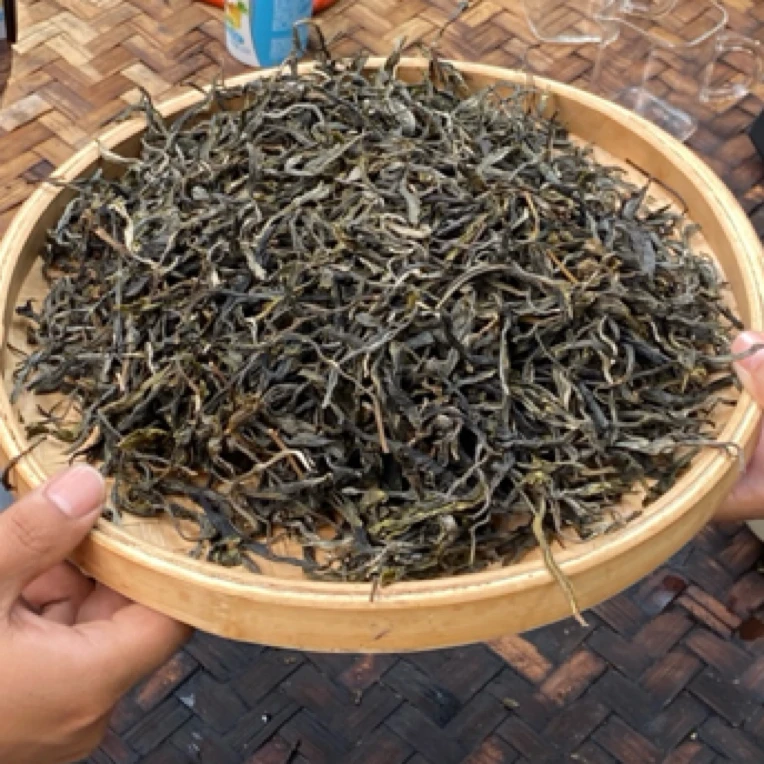 *2025年【小户赛.单株.春】晒青茶【生散茶】-7月9日【19】