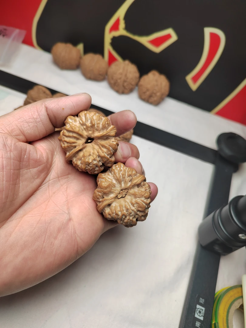 金蟾蛤蟆头文玩核桃