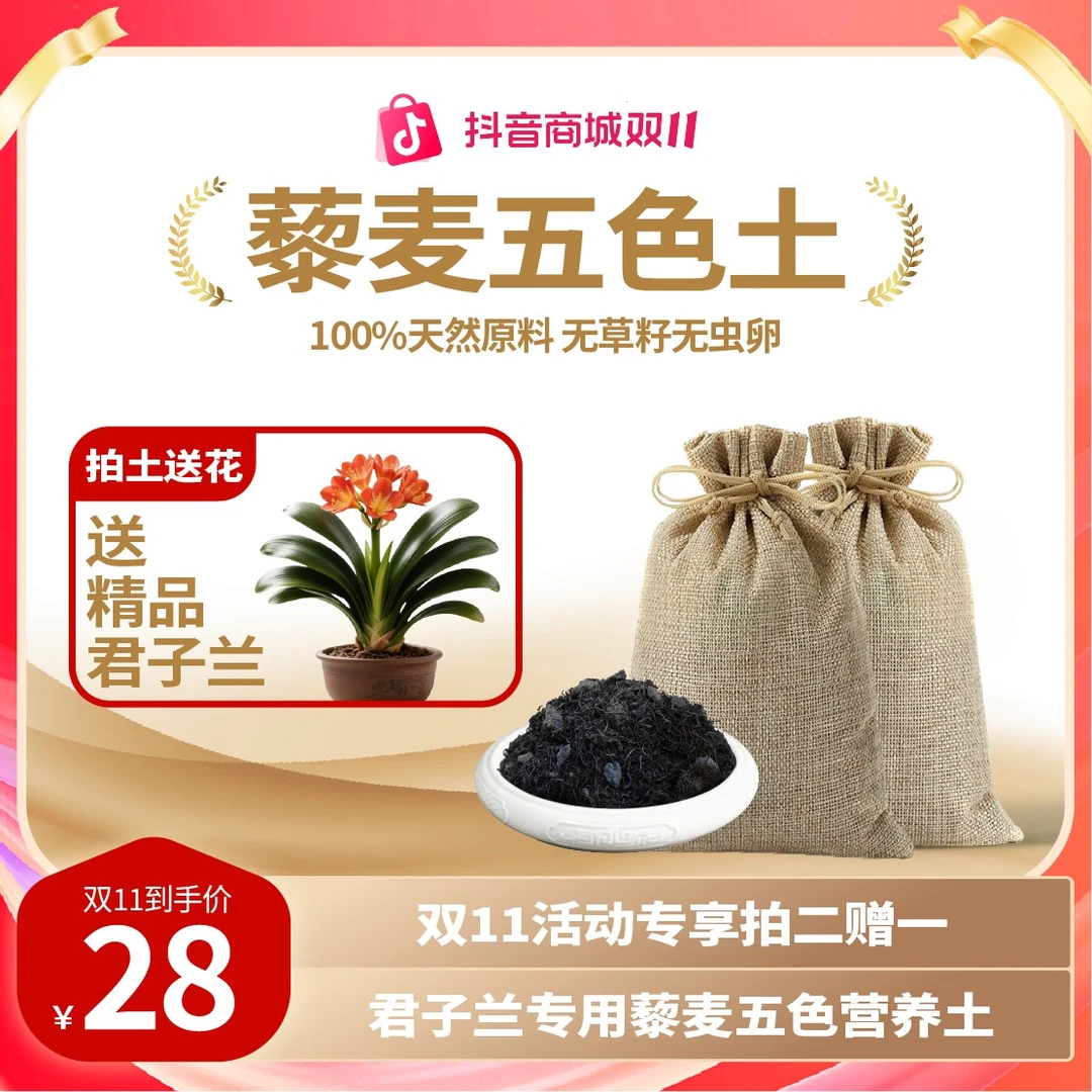 自研特惠君子兰专用藜麦五色土天然原料藜麦松针葵花籽兰科通用土