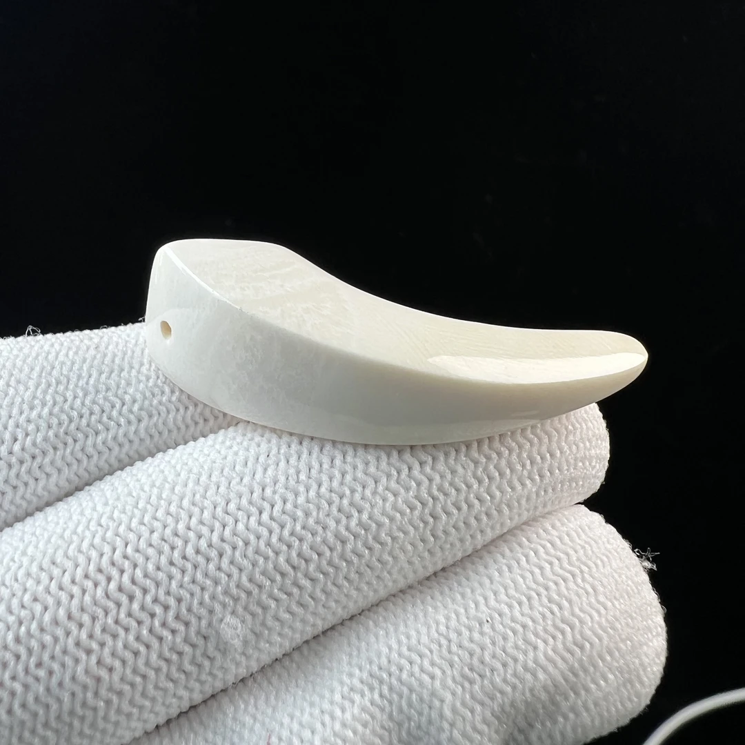 D3100天然猛犸牙 牙尖 42.5mm支持鉴定 假一罚四