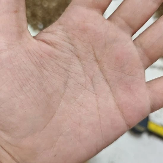 T***N花友专拍，5片仙人掌！