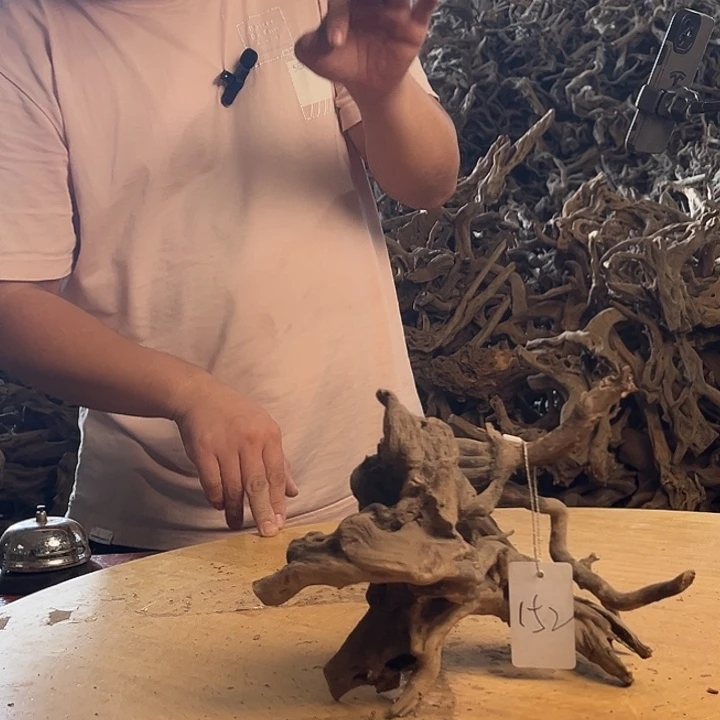 木材鱼缸造景材料水库杜鹃根摆件152