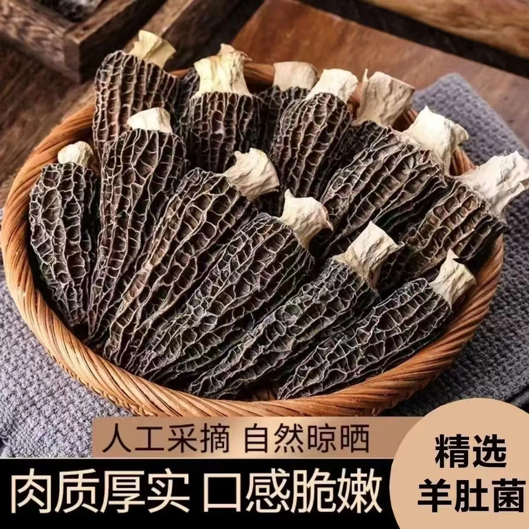 【直播专属】高山羊肚菌干货精品营养丰富适合炖汤煲汤30