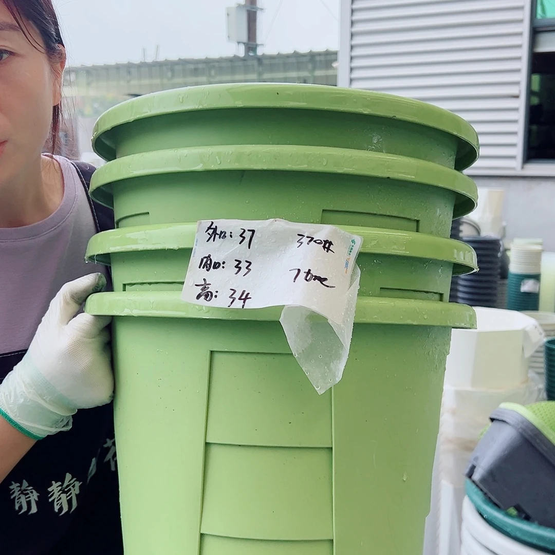 玫瑰盆370#果绿4个无托