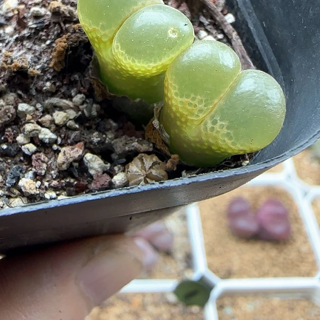 向***看哈哈哈哈哈哈哈哈45375