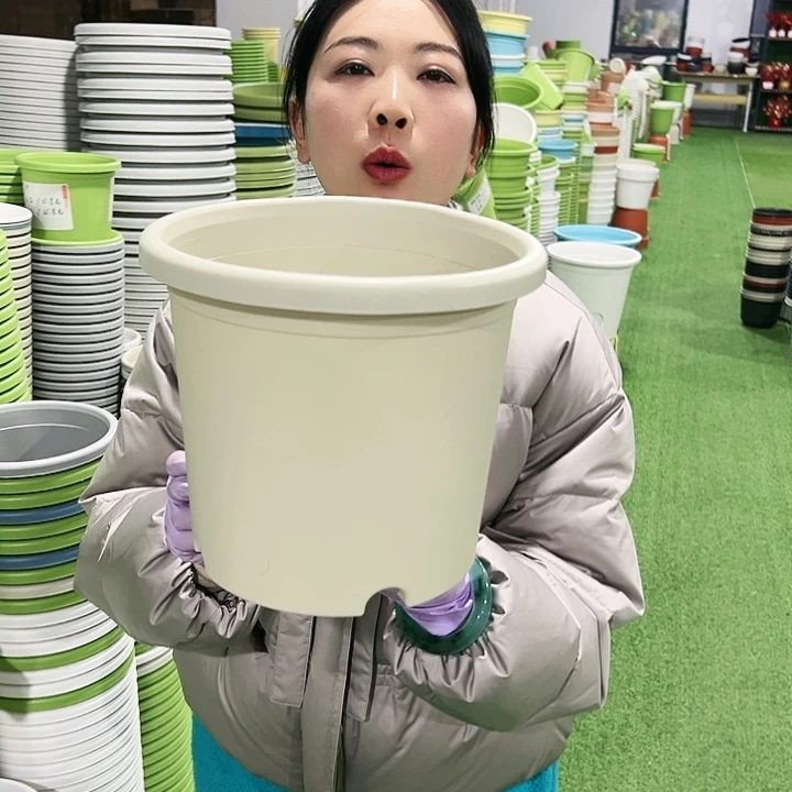 特价4号四季口25高21.5米色10只无托
