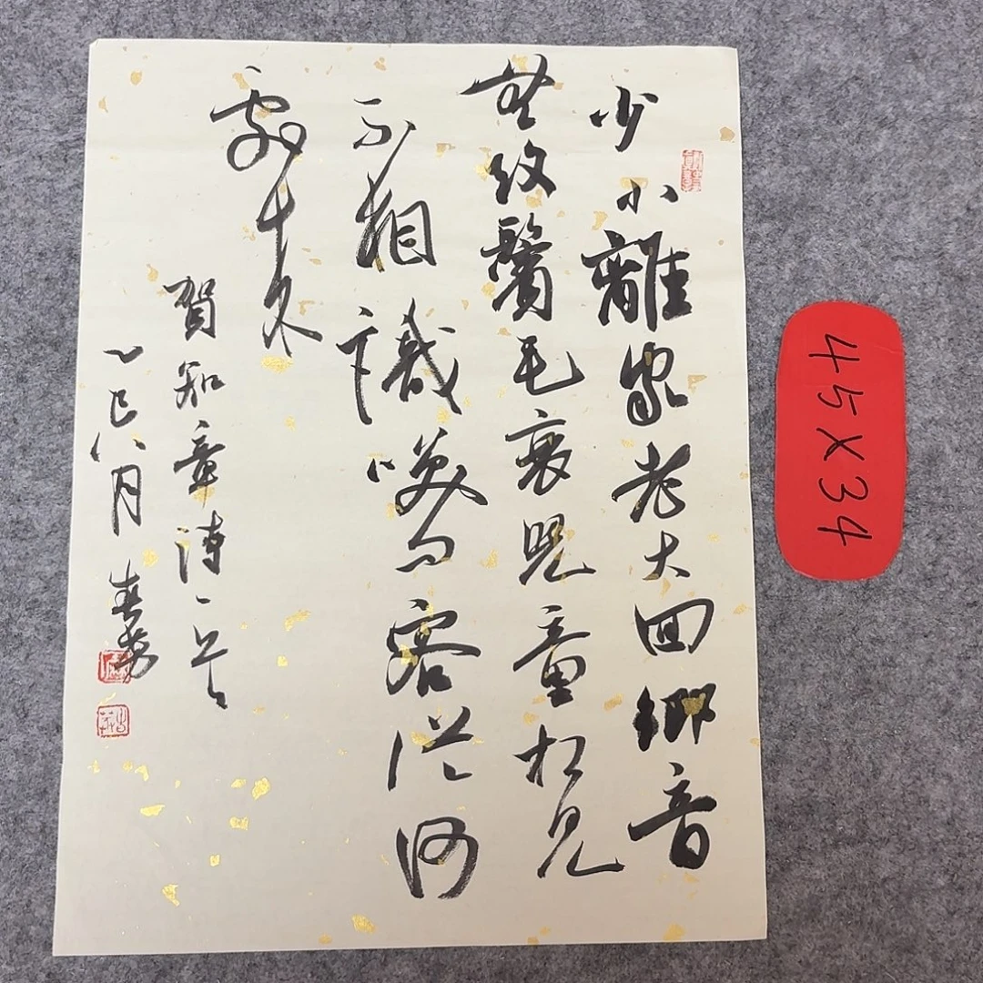 书法国展书家麻春芳45+34