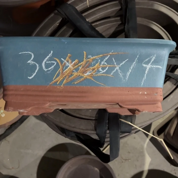 花盆紫砂100-3。