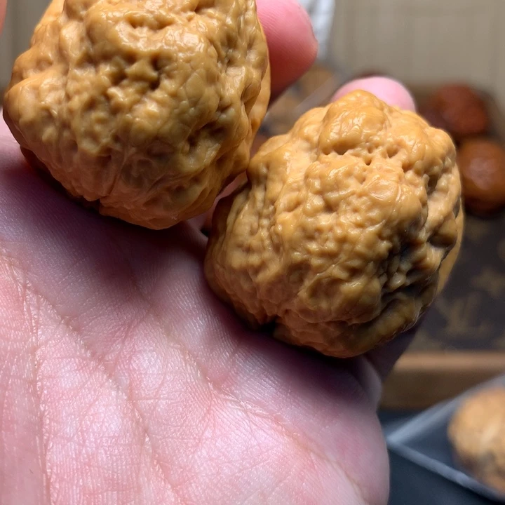 文玩核桃把件42祥龙