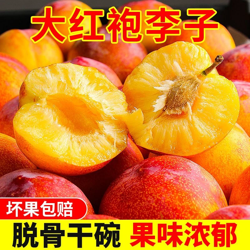 顺丰包邮大连山区东北大红袍李子脱骨离核干碗李子3斤5斤新鲜现摘