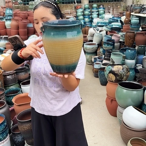 口20高27瑕疵一个盆