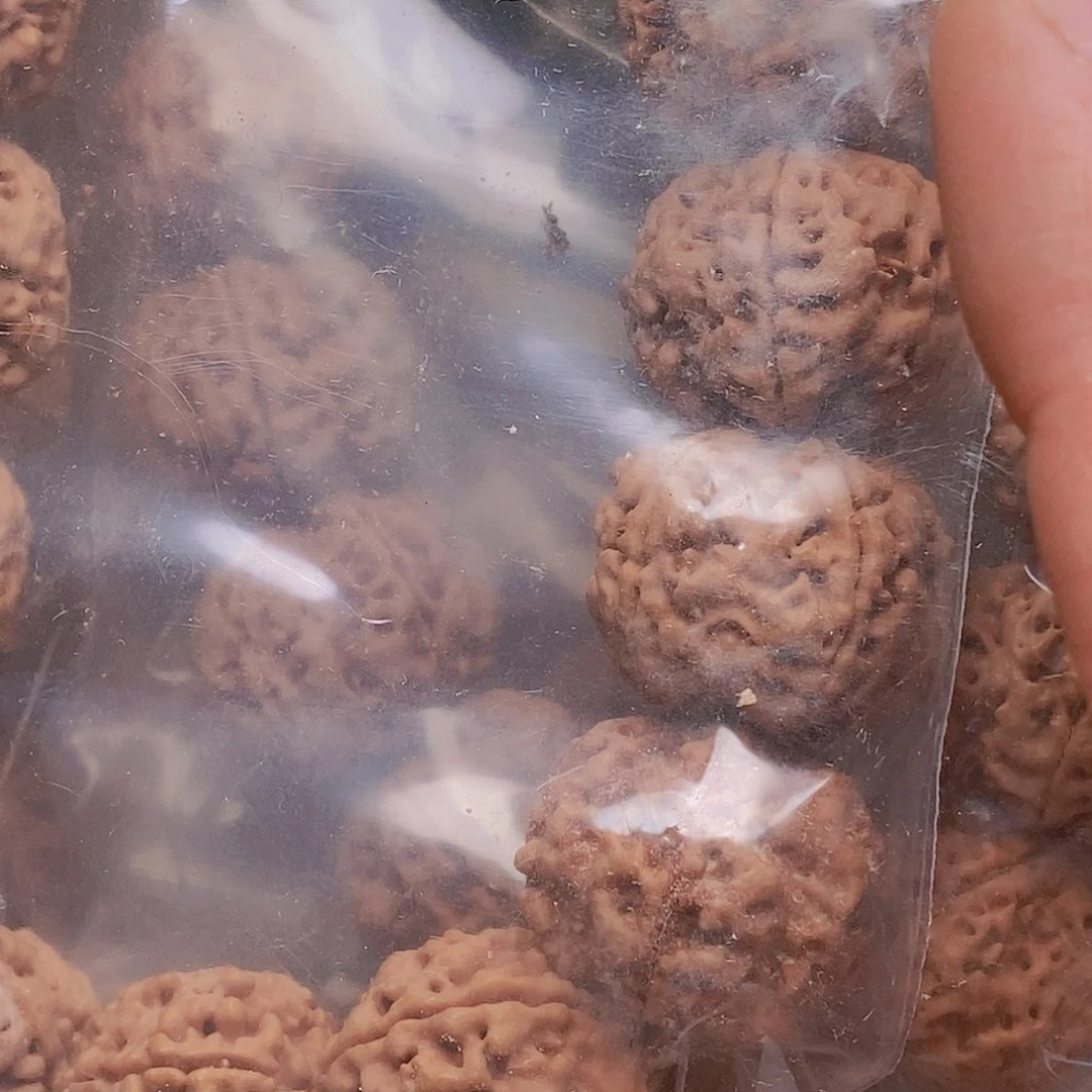 金刚菩提把件5瓣21粗筋双龙