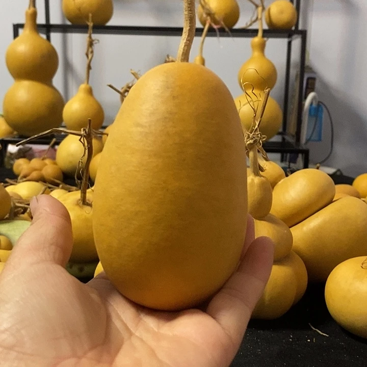 葫芦的颜色是蓝色的