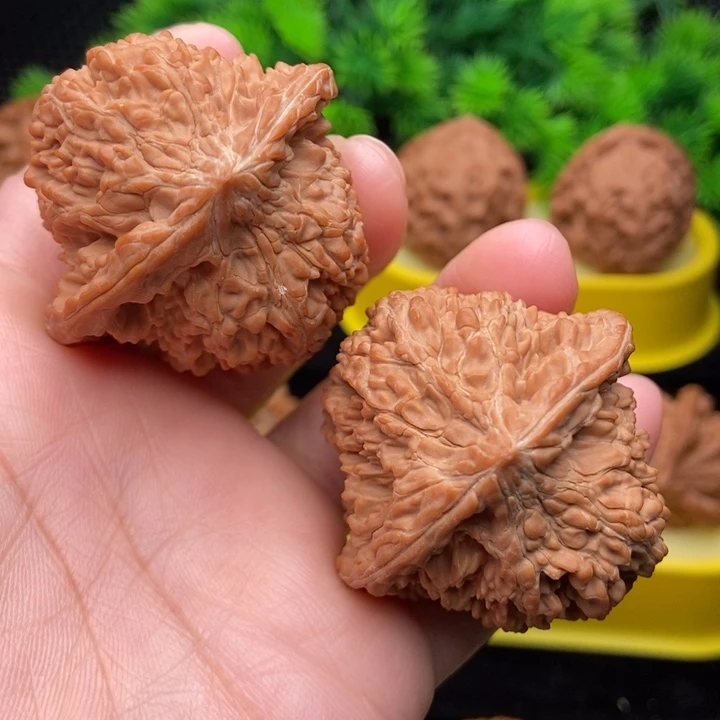 百花山44全品11111