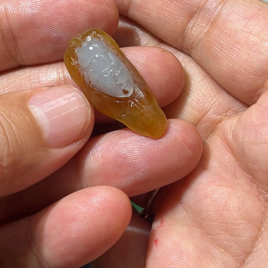 未镶嵌定制翡翠一鸣惊人