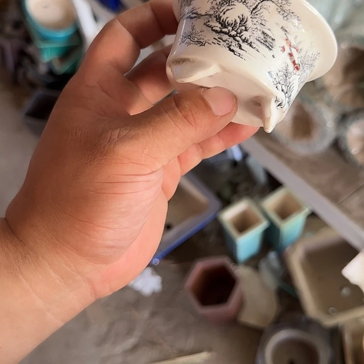 这几位朋友在做一