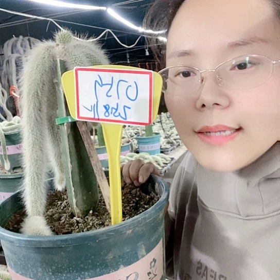 小**姐0759托土发货无售后