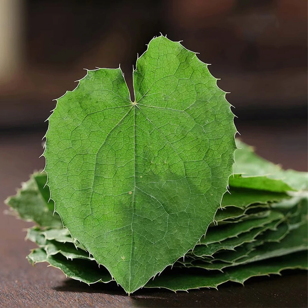 长白山特产野生小圆叶三枝九叶草