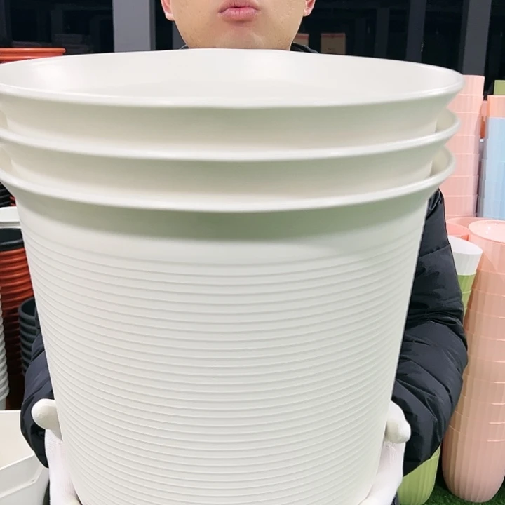 正品高陶口36高36白色无托3个