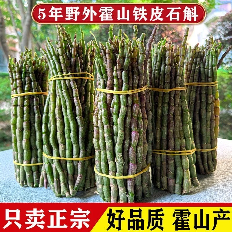 新鲜铁皮石斛500g好山货石斛条新鲜多汁石斛枫斗滋补山货食材泡茶