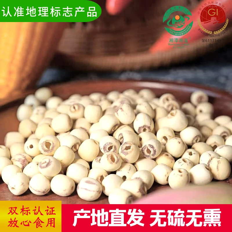 【正宗湘莲】去芯磨皮莲子500克 新鲜圆润饱满免浸泡湘莲干货特产