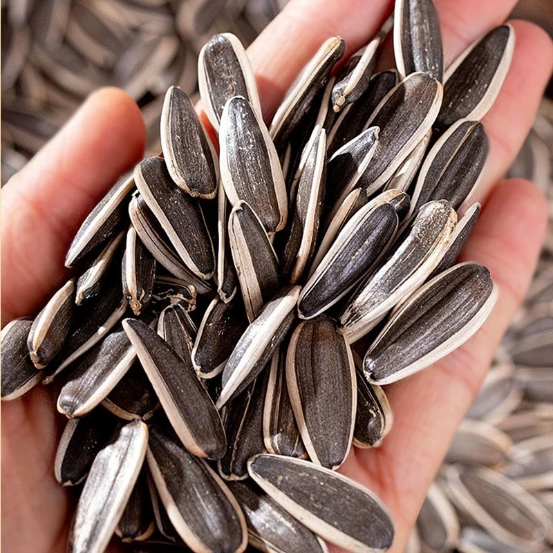 2025年新货原味儿瓜子葵花子特产
