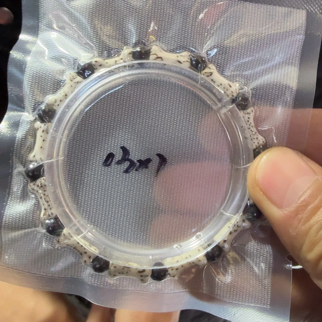 吊坠星月菩提龙骨单圈13