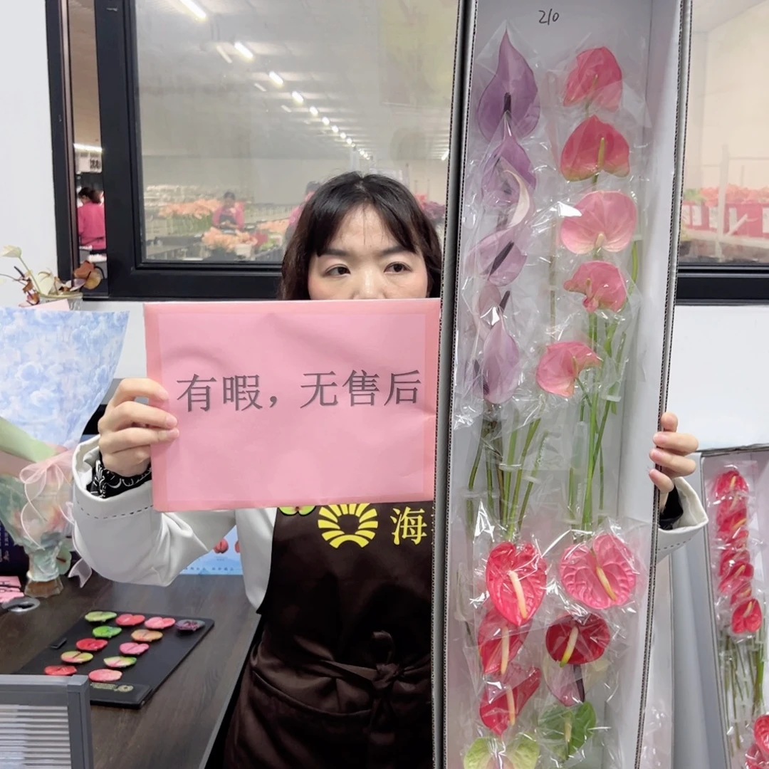 完全开放混色-20枝装无售后款210