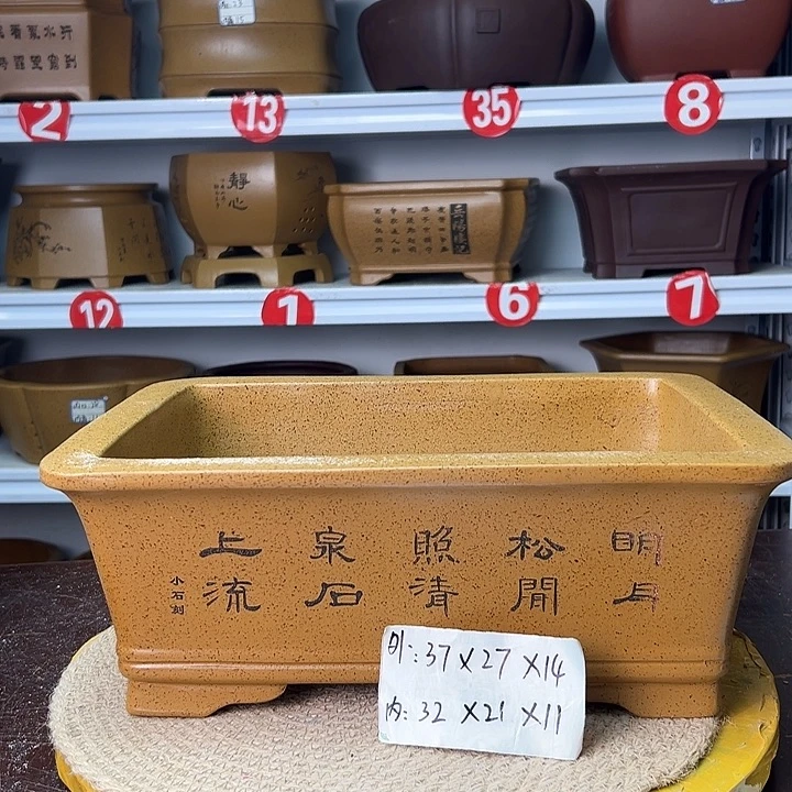 花盆紫砂你在一起