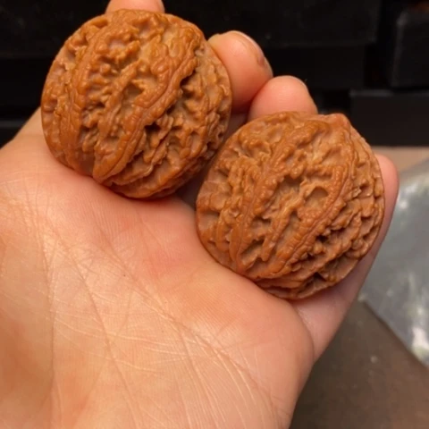 文玩核桃把件秦岭森林核桃