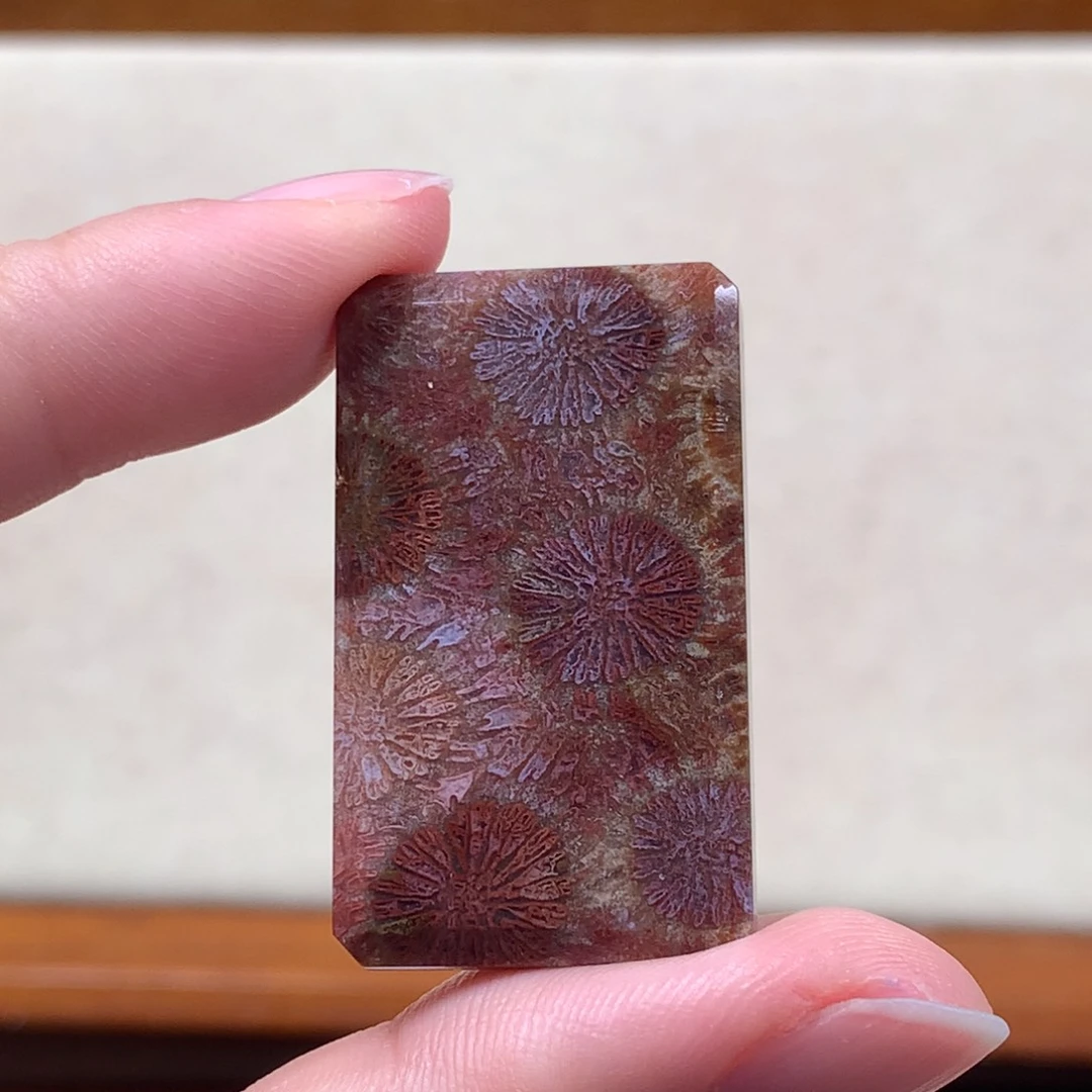 未镶嵌上新紫红大花300/个。08硅化珊瑚（珊瑚玉）