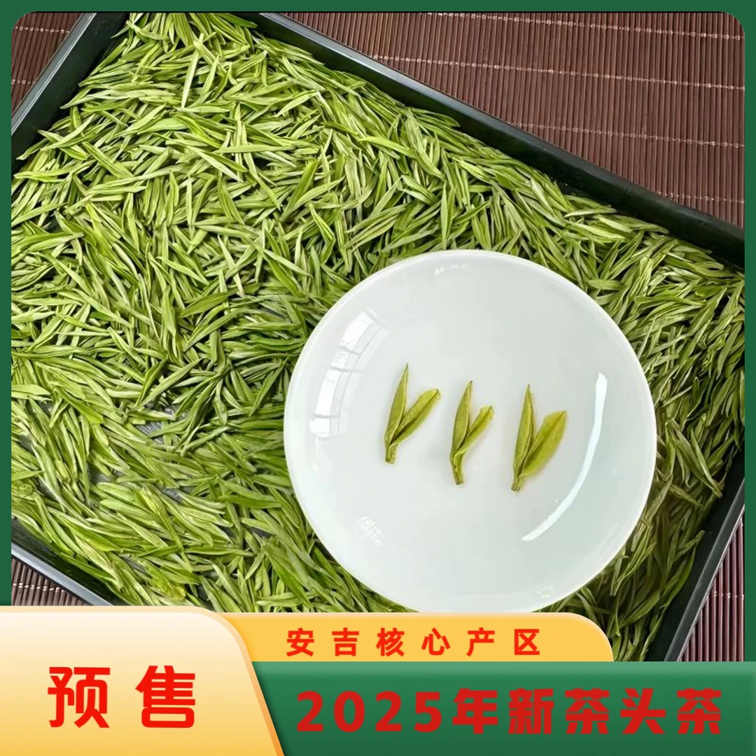 【安吉2025年白茶新茶】早春白茶春茶兰花香高山绿茶送礼佳品
