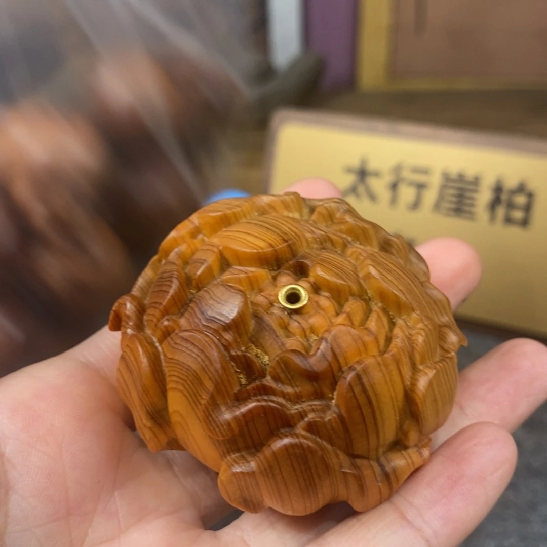 柏木（崖柏）崖柏11111