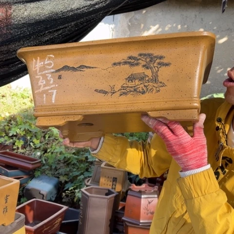 花盆紫砂特价包邮送盒