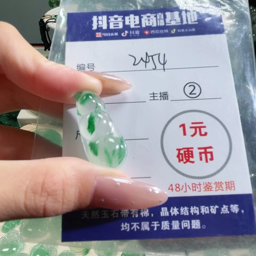 石英质玉未镶嵌颈饰