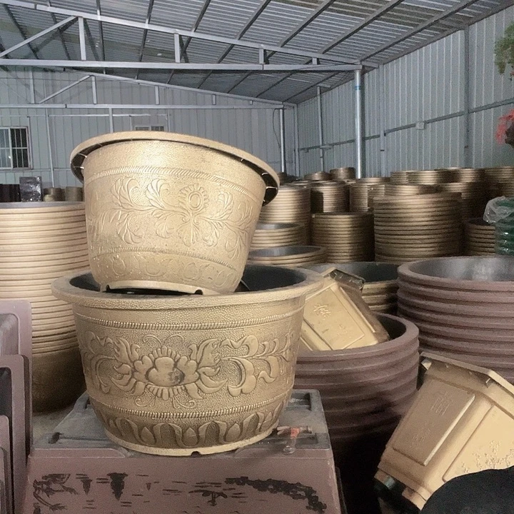 圆100一个无孔金色