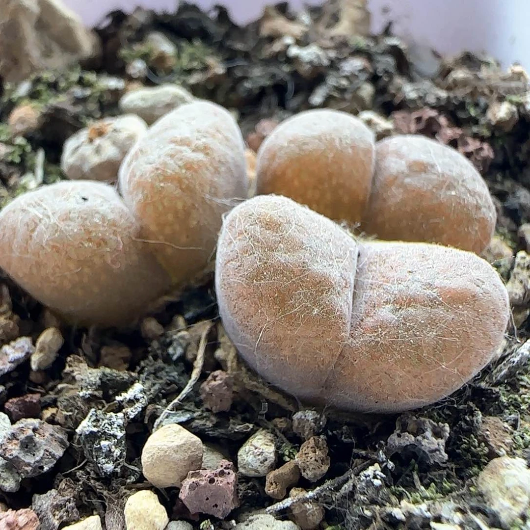 哈哈哈哈哈哈哈哈哈45373