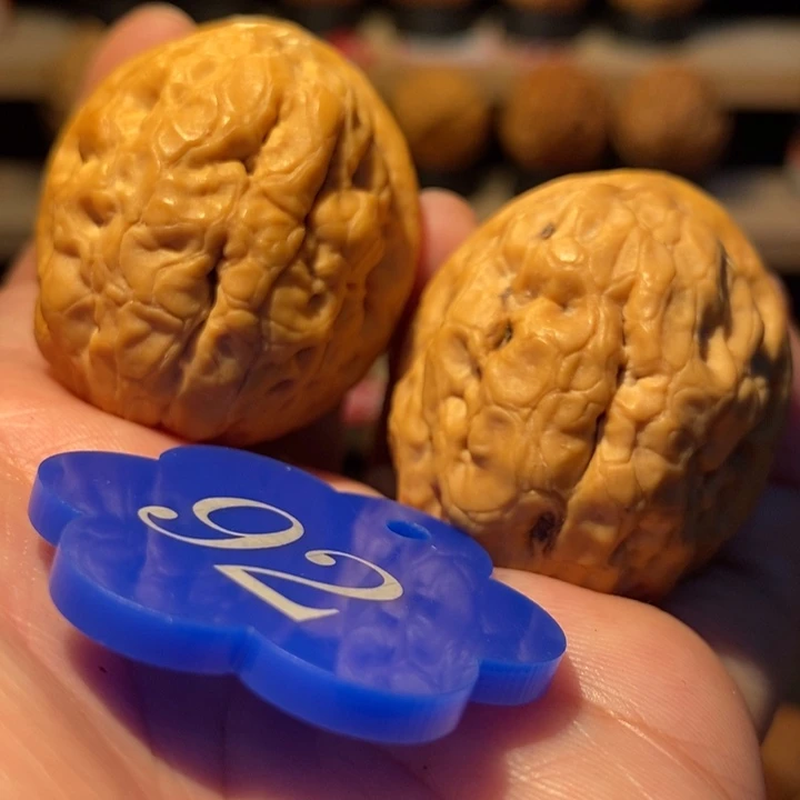 木质类铁蛤蟆37尺寸